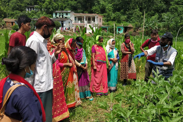 Sustainable Livelihood